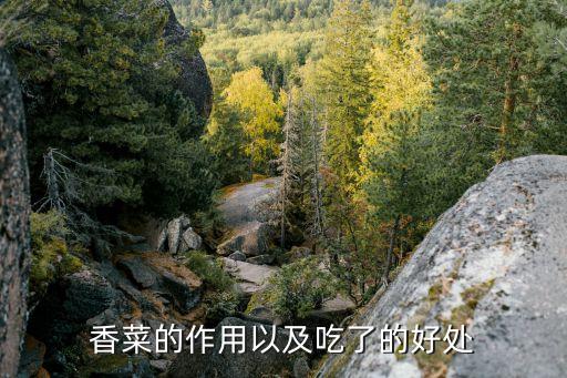香菜的作用以及吃了的好处