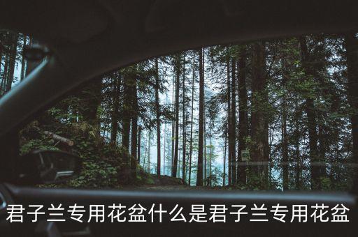 君子兰专用花盆什么是君子兰专用花盆