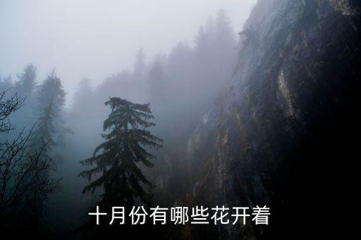 十月份有哪些花开着