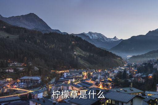 柠檬草是什么