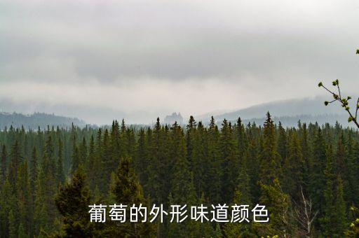 葡萄的外形味道颜色