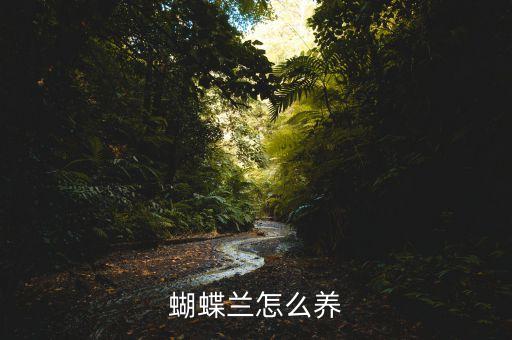 蝴蝶兰怎么养