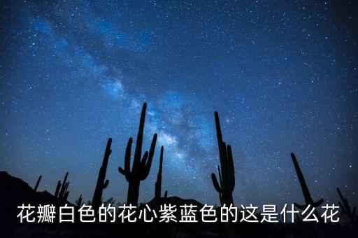 延药睡莲，白色带有苹果幽香的花花瓣边缘有点粉红求花名