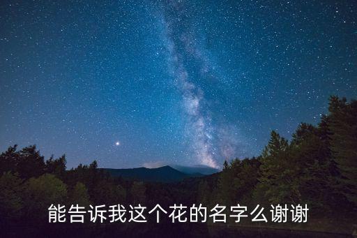 使君子花，使君子的花语