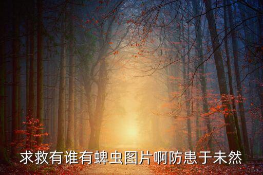 求救有谁有蜱虫图片啊防患于未然