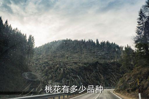 桃花有多少品种
