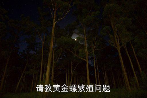 请教黄金螺繁殖问题