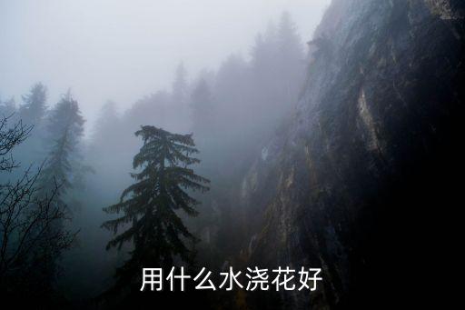 浇花水，浇花用什么水比较好
