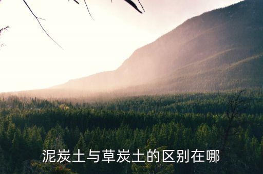 泥炭土与草炭土的区别在哪