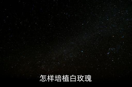 白玫瑰怎么养，请问怎么保养白玫瑰