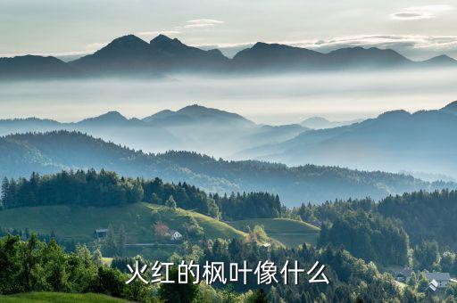 枫树好像什么，满山的枫叶像什么