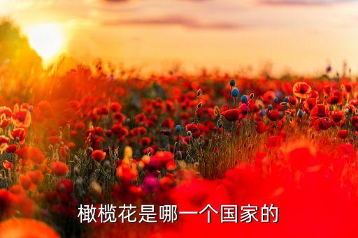 橄榄花是哪一个国家的