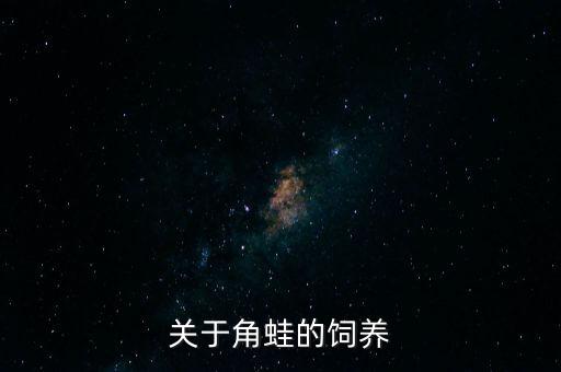 角蛙怎么养，关于角蛙的饲养