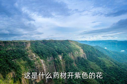 这是什么药材开紫色的花