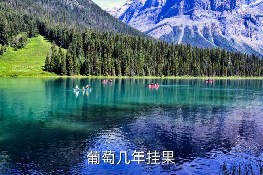 葡萄几年结果，葡萄几年才能结果