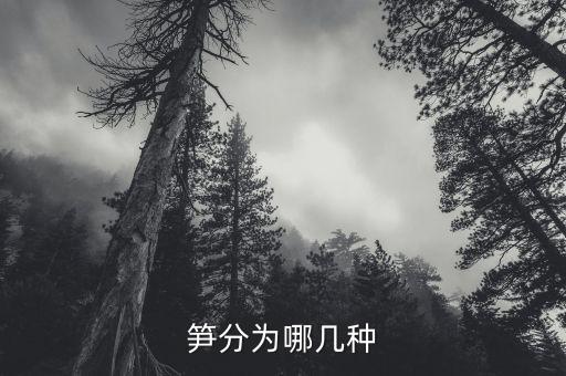 笋分为哪几种