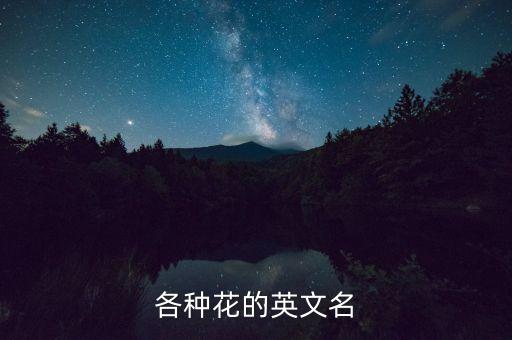 郁金香的英文，郁金香的英文名是什么