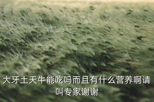 大牙土天牛，雨后出现的昆虫