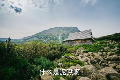 什么是泥鳅啊