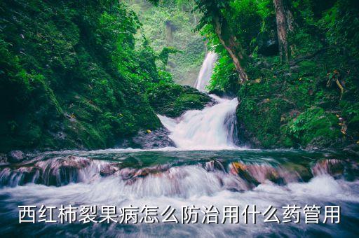 防裂果最有效的药，有什么药可以预防樱桃成熟裂果