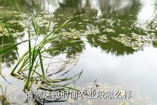农业板块明天怎么样，农业股后期到底如何走