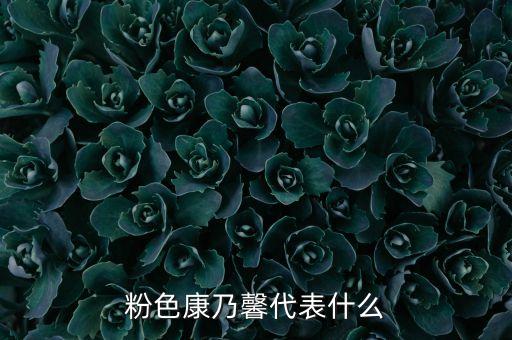 粉色康乃馨代表什么