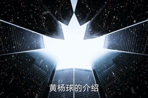 黄杨球，黄杨球的介绍