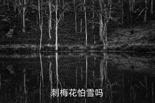 刺梅花，刺梅花怕雪吗
