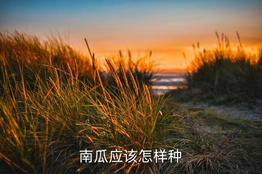 南瓜应该怎样种