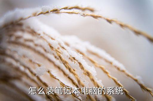 怎么装笔记本电脑的系统