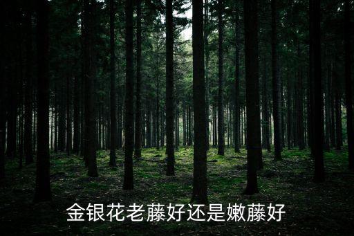 金银藤，金银花的俗名是什么姻缘藤吗