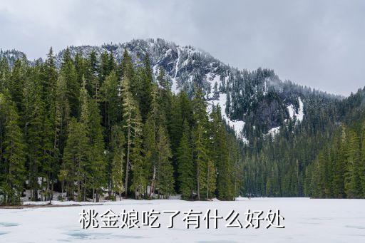 桃金娘的功效与作用，桃金娘是什么药