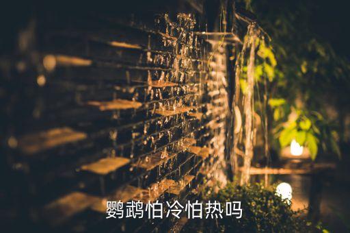 鹦鹉怕热吗，鹦鹉怕冷怕热吗