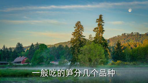 一般吃的笋分几个品种