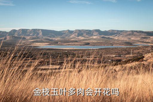 金枝玉叶开花吗，金枝玉叶到底开不开花
