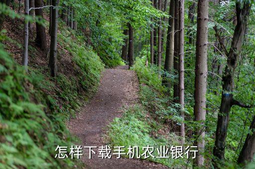 农业怎么下，怎么下载农业银行客户端