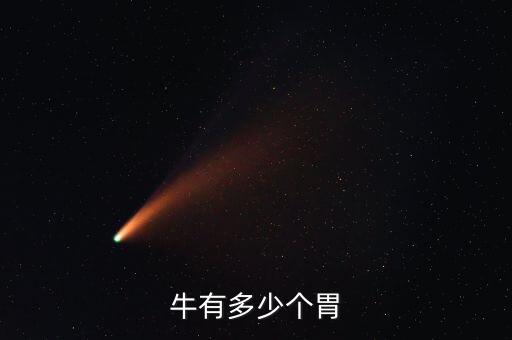 牛一共有几个胃，牛有多少个胃