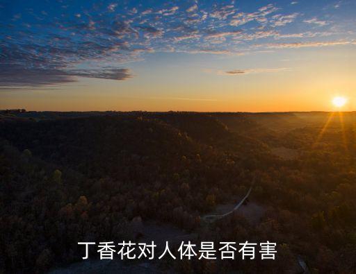 丁香有毒吗，丁香花有毒吗