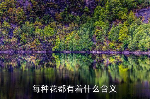 每种花都有着什么含义