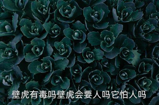壁虎有毒吗壁虎会要人吗它怕人吗