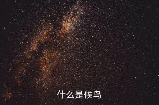 什么是候鸟