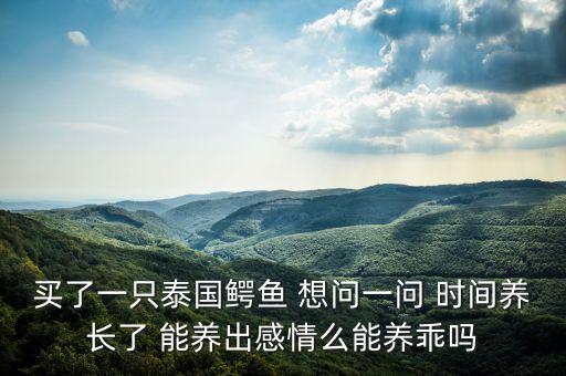 鳄鱼能养出感情吗，买了一只泰国鳄鱼 想问一问 时间养长了 能养出感情么能养乖吗