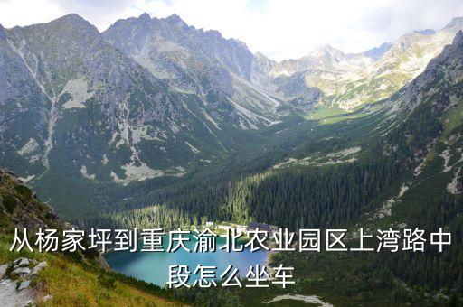 万山九丰农业园怎么走，从杨家坪到重庆渝北农业园区上湾路中段怎么坐车