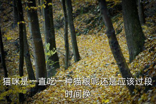 猫咪是一直吃一种猫粮呢还是应该过段时间换