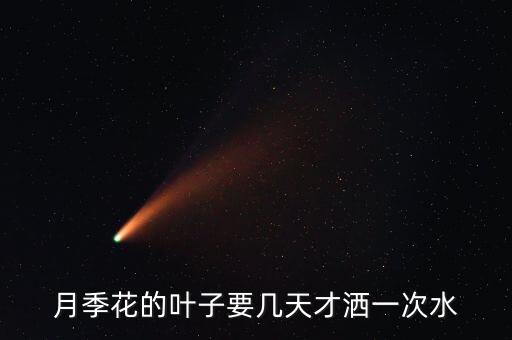 月季花的叶子要几天才洒一次水