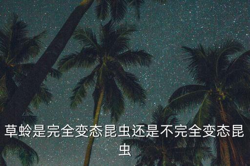 草蛉，草蛉是完全变态昆虫还是不完全变态昆虫