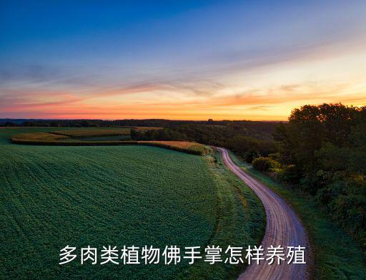 多肉类植物佛手掌怎样养殖