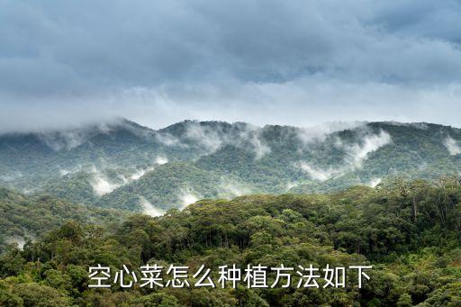 空心菜怎么种植方法如下