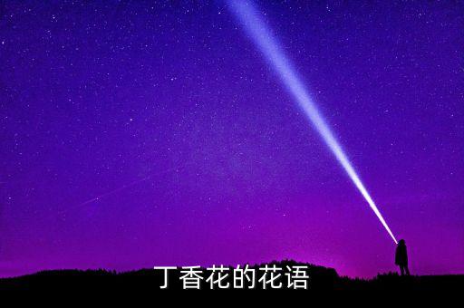丁香花的花语，丁香花的花语是什么