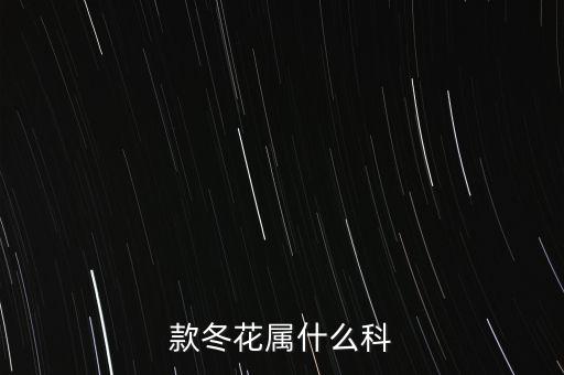 款冬花，款冬花是做什么用的